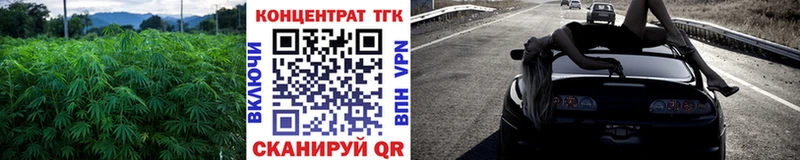 Купить закладки  Пугачёв  ТГК жижа 
