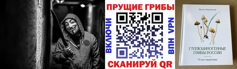 Купить закладки  Пугачёв  Галлюциногенные грибы Cubensis 